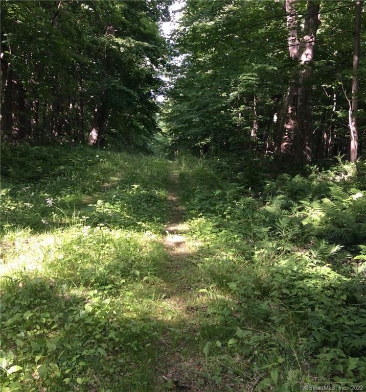 00 Greenwoods Road East Photo 12