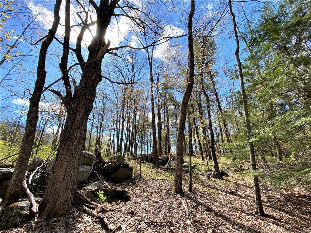 00 Greenwoods Road East Photo 15