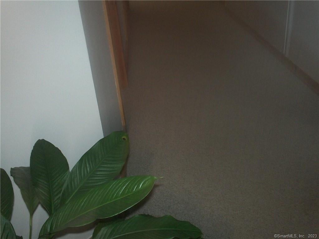 99 Citizens Drive Photo 15