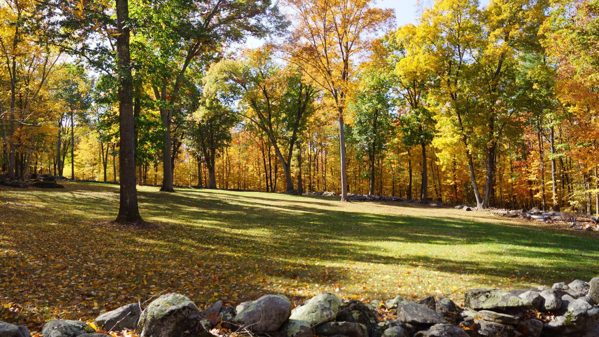 47 Carter Road Photo 1