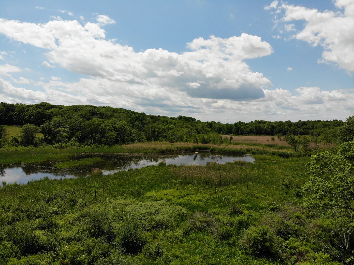 25 Bowne Road Photo 6