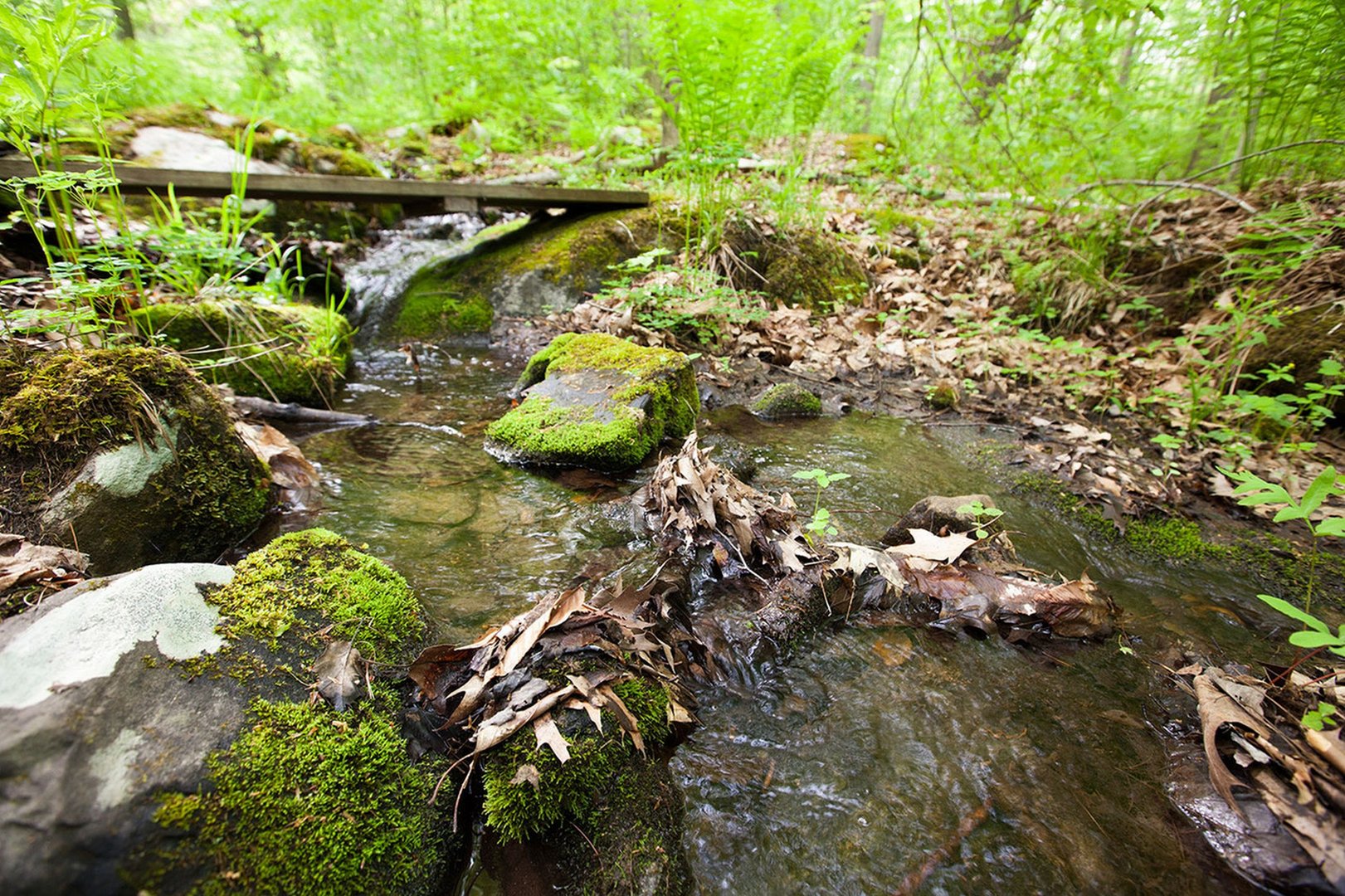 58 Mt Hunger Rd Photo 18