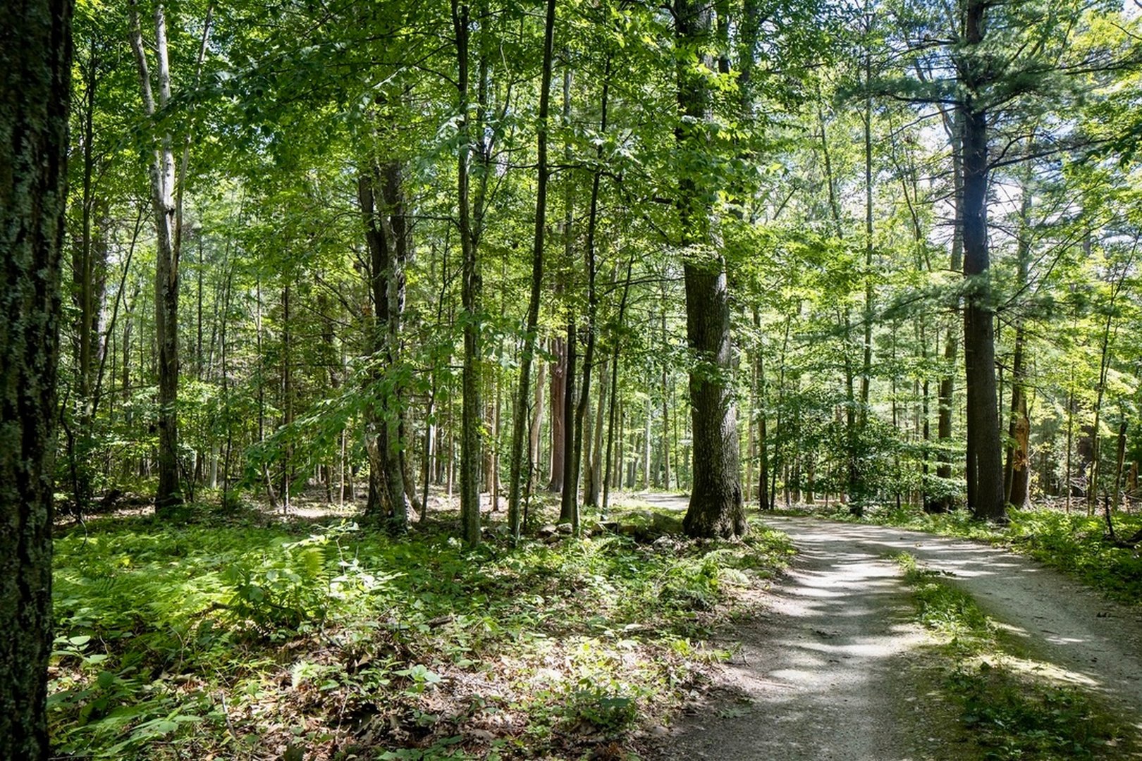 238 Hayes Hill Rd Photo 37