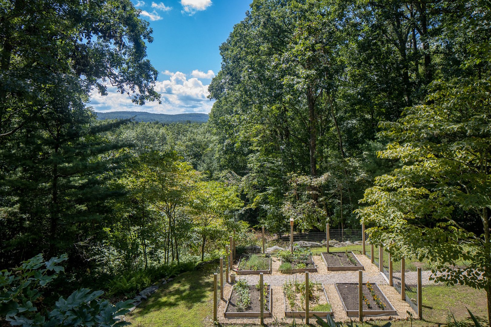 238 Hayes Hill Rd Photo 35