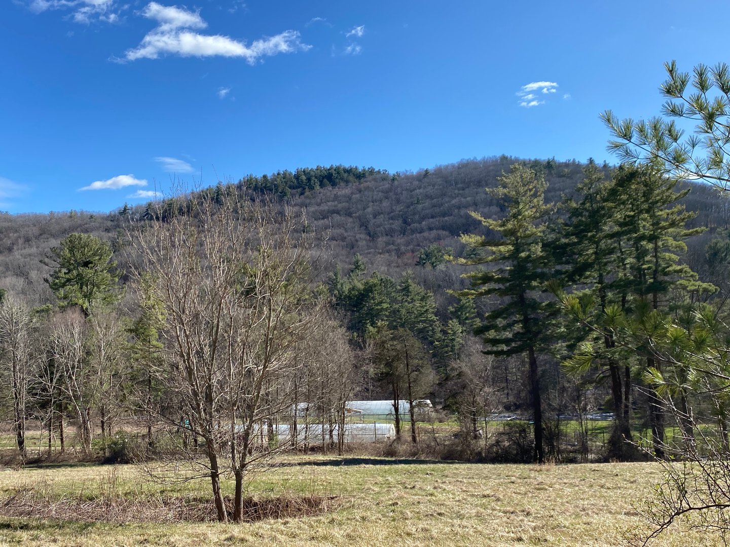 198-4 Beebe Hill Road Photo 2