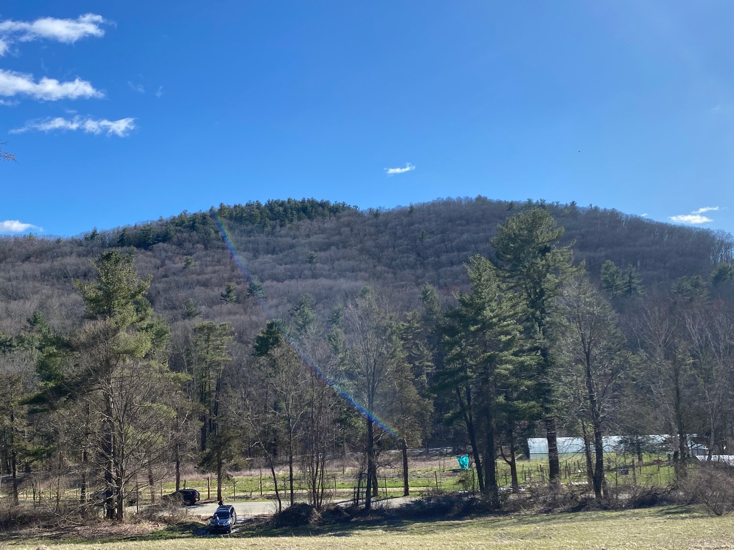 198-4 Beebe Hill Road Photo 7