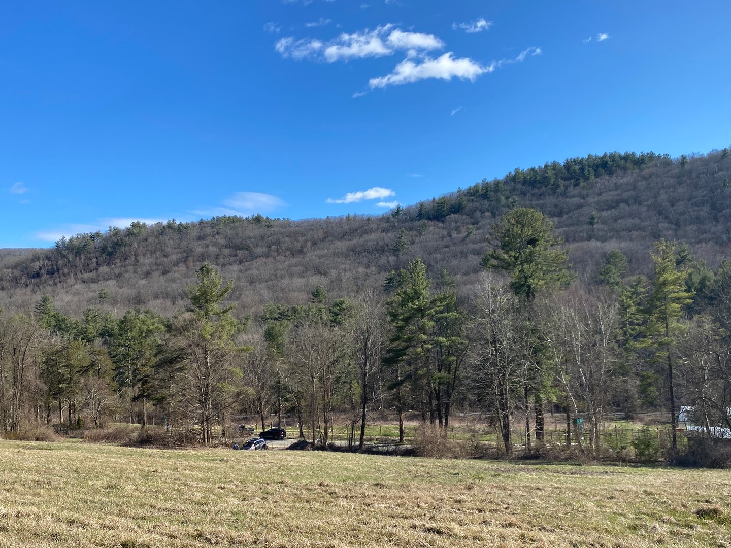 198-3 Beebe Hill Road Photo 2