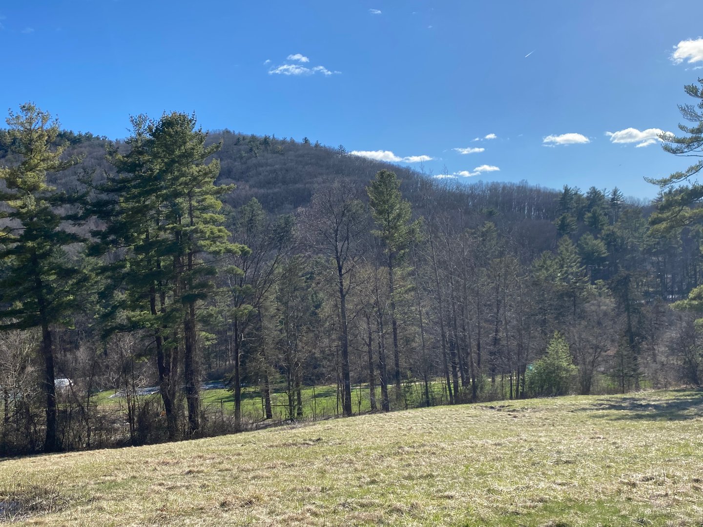 198-3 Beebe Hill Road Photo 1