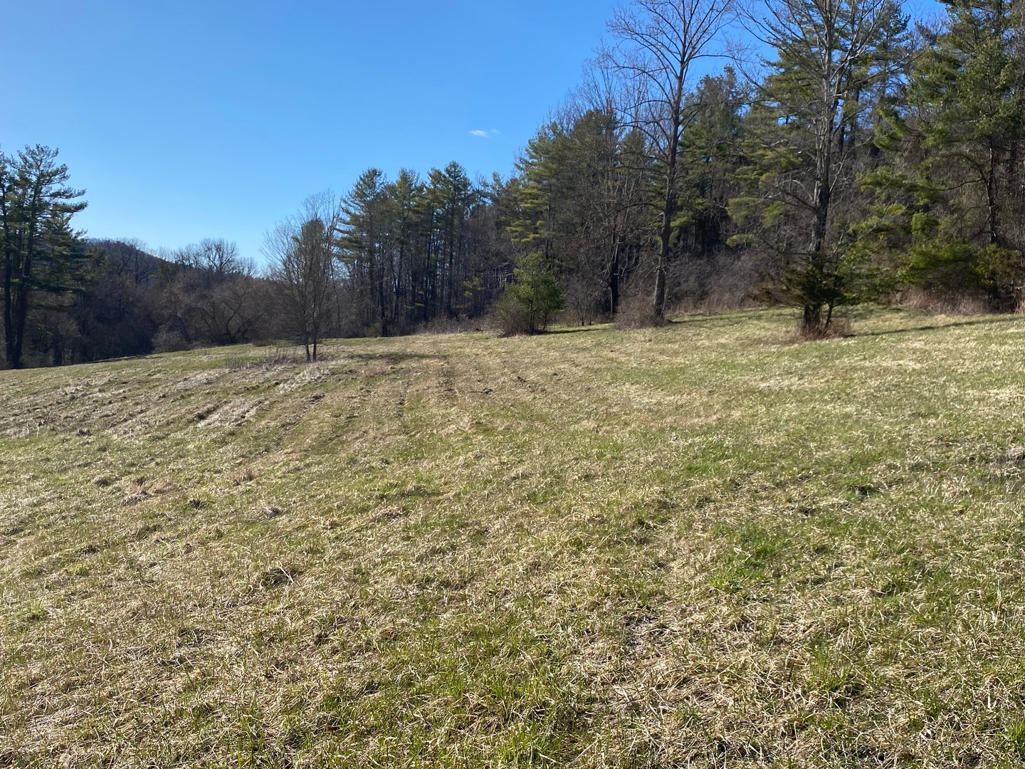 198-3 Beebe Hill Road Photo 3