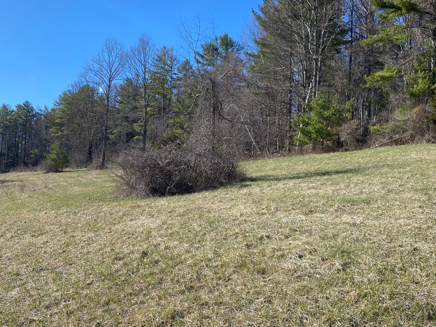 198-3 Beebe Hill Road Photo 4