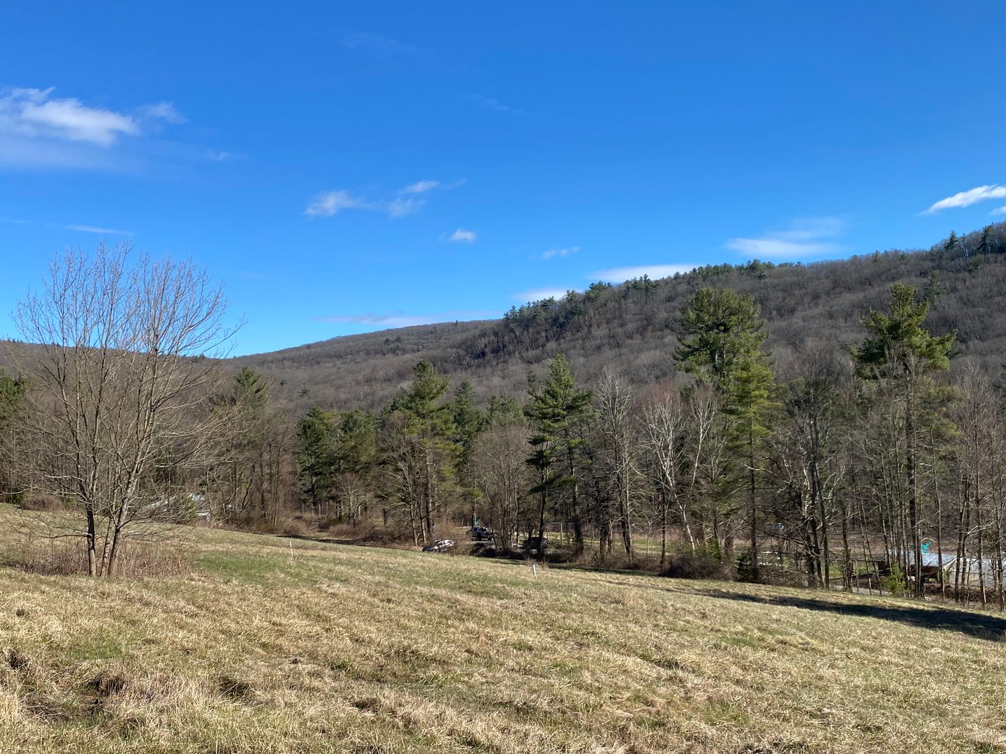 198-3 Beebe Hill Road Photo 7