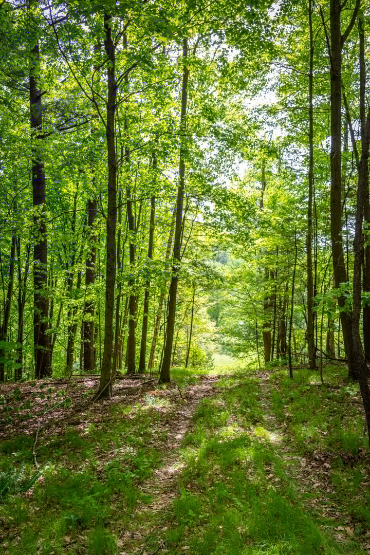 198-2 Beebe Hill Road Photo 3