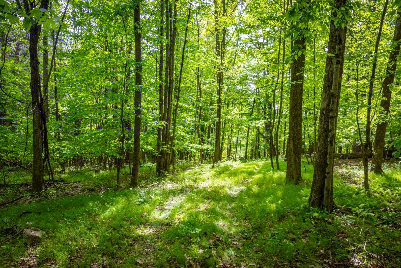 198-1 Beebe Hill Road Photo 3