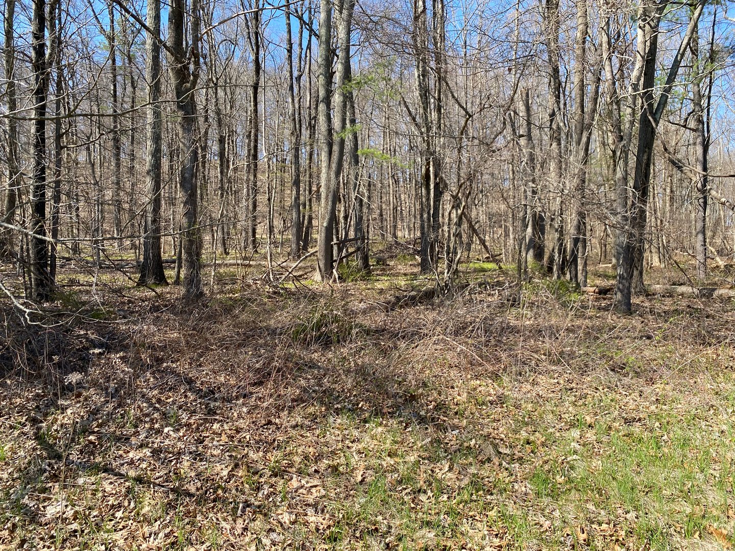 198-2 Beebe Hill Road Photo 8