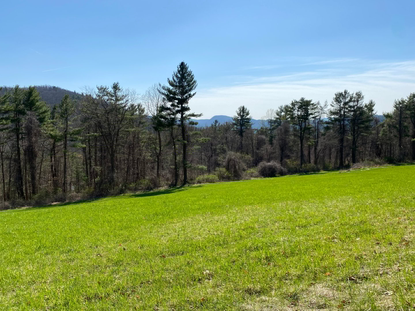 198-2 Beebe Hill Road Photo 7