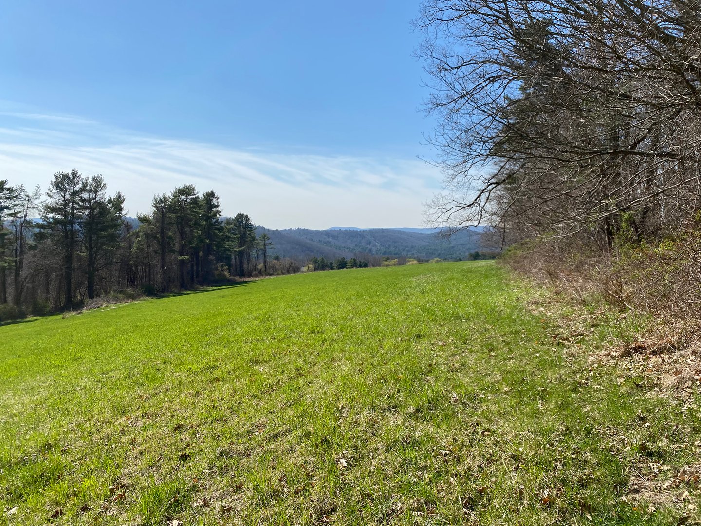 198-2 Beebe Hill Road Photo 9