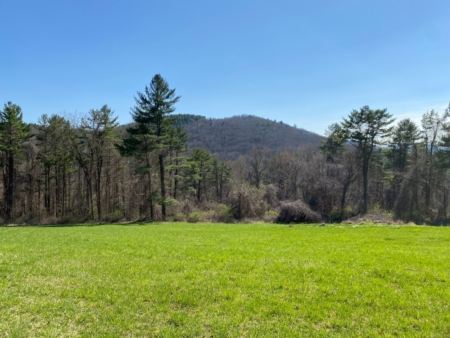 198-2 Beebe Hill Road Photo 11