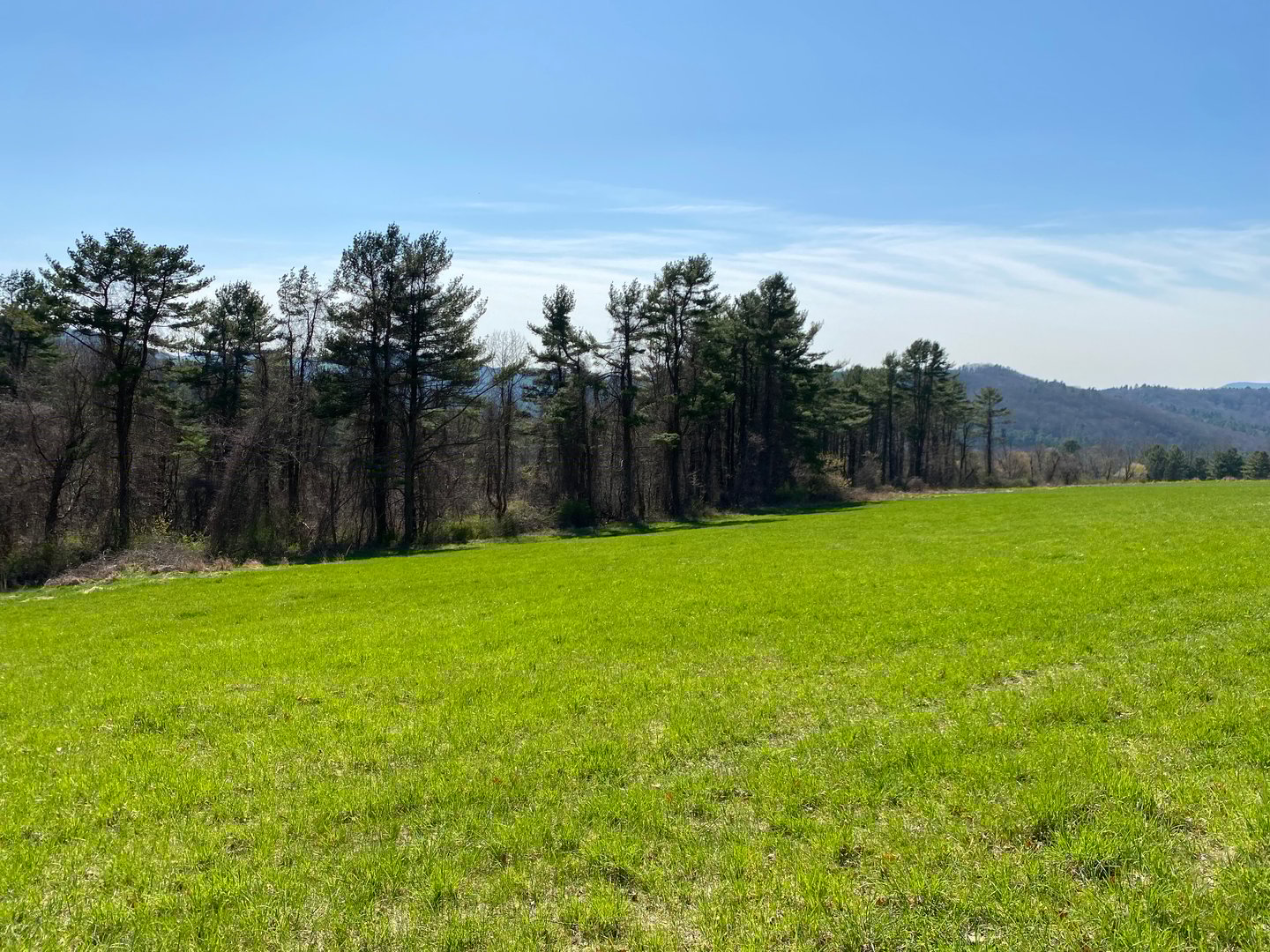 198-2 Beebe Hill Road Photo 12