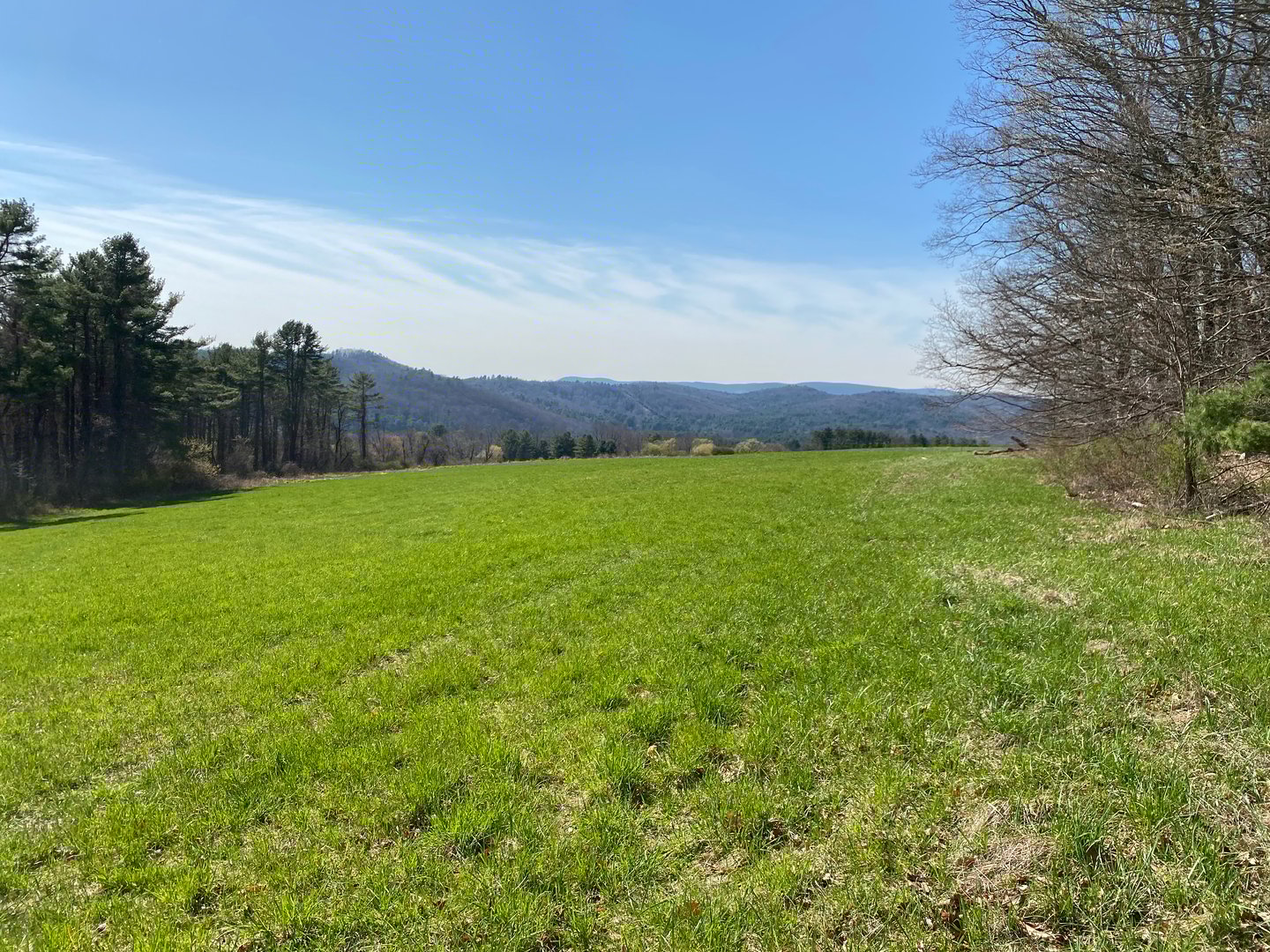 198-2 Beebe Hill Road Photo 13