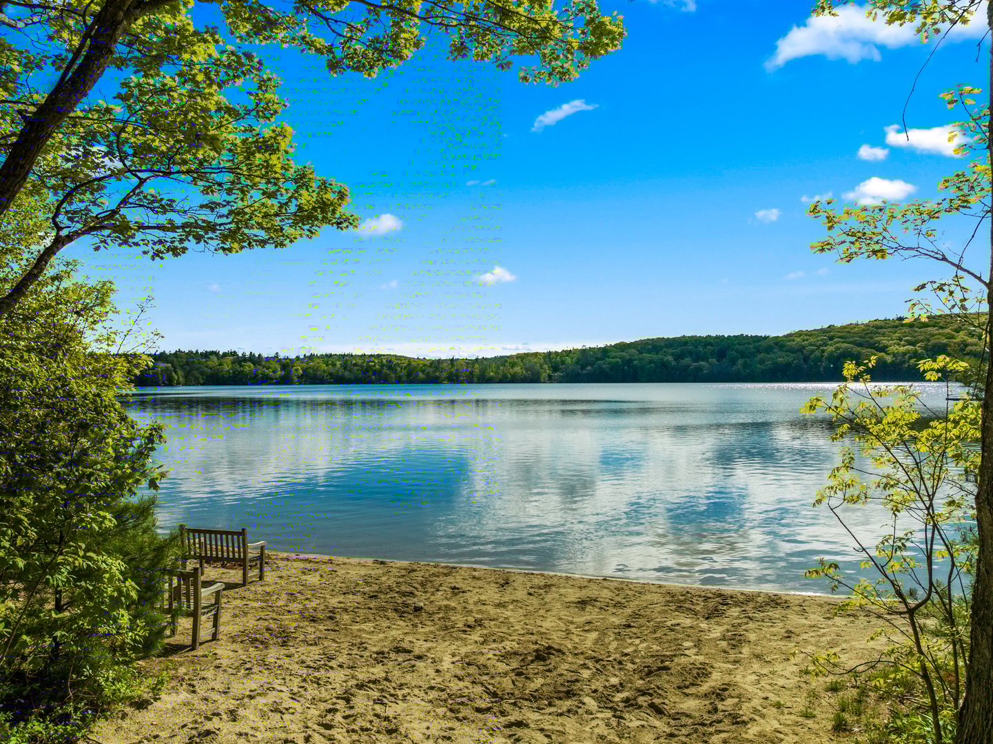 210 Doolittle Drive Photo 39