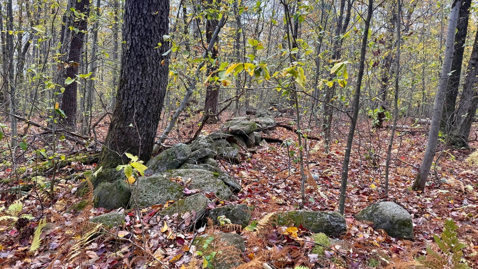 0 Stoney Brook Rd Photo 3