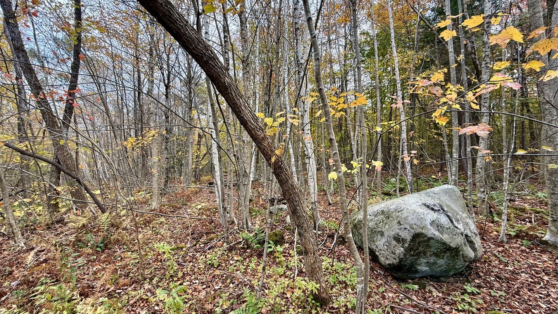 0 Stoney Brook Rd Photo 5