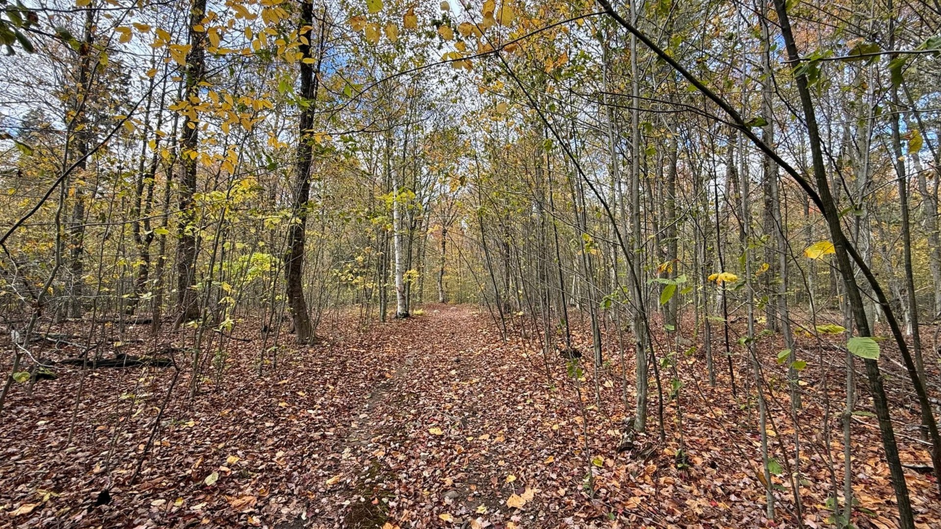 0 Stoney Brook Rd Photo 6