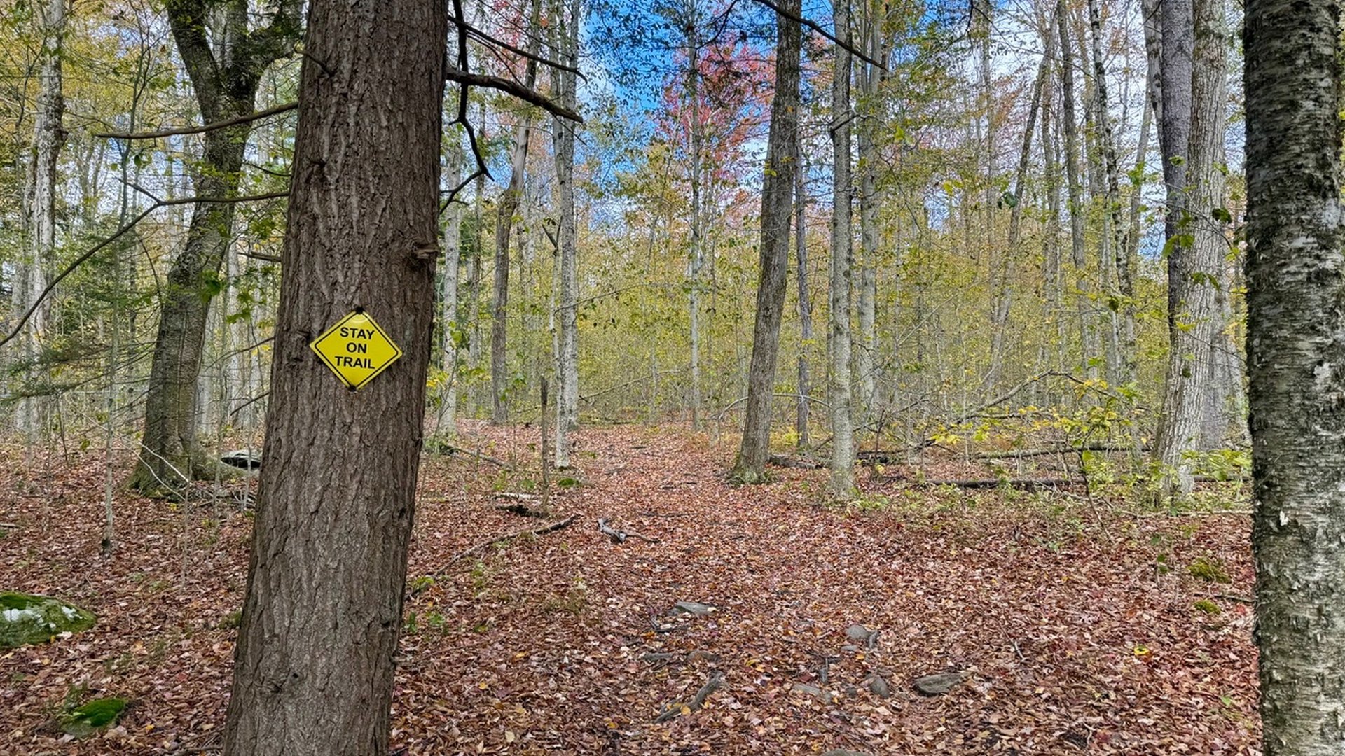 0 Stoney Brook Rd Photo 7