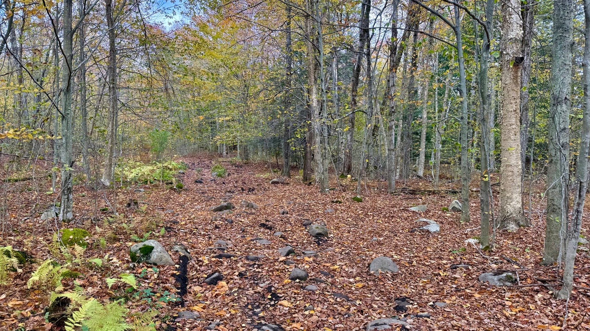 0 Stoney Brook Rd Photo 8