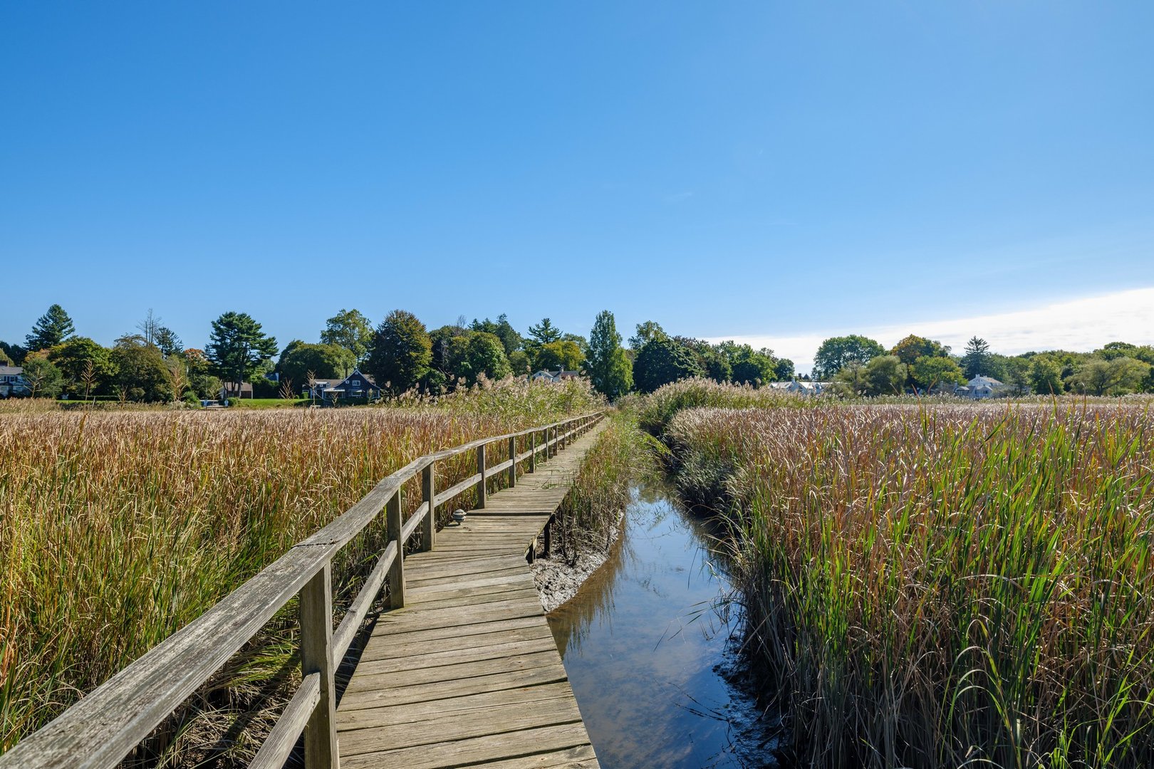 1 & 3 Neck Road Photo 6