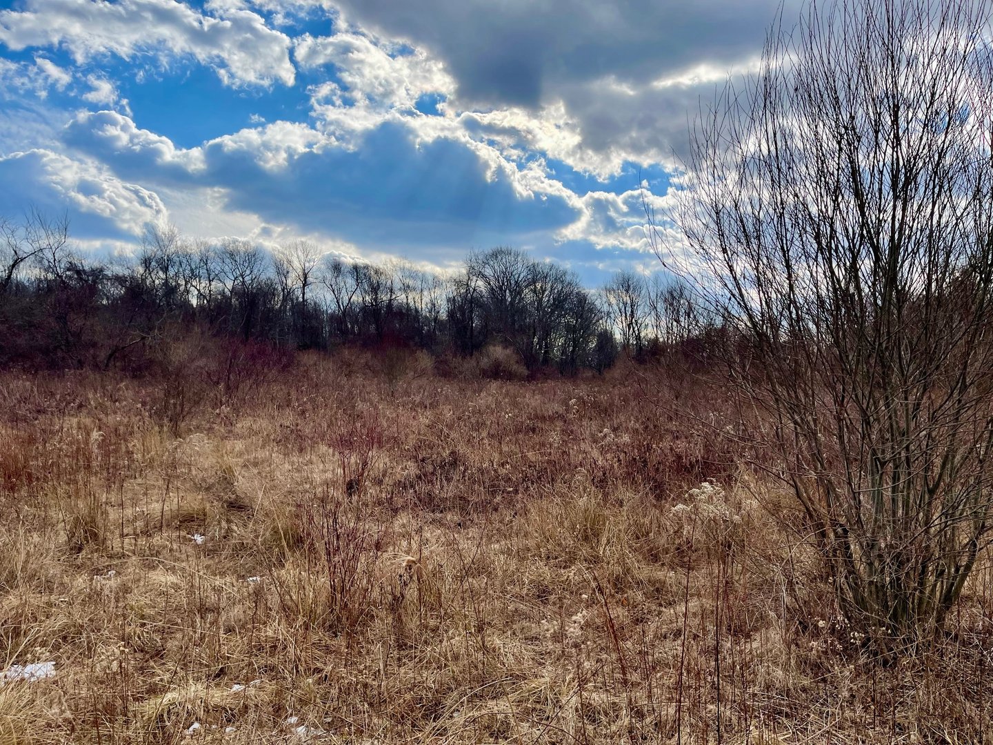 523 Voluntown Road Photo 5