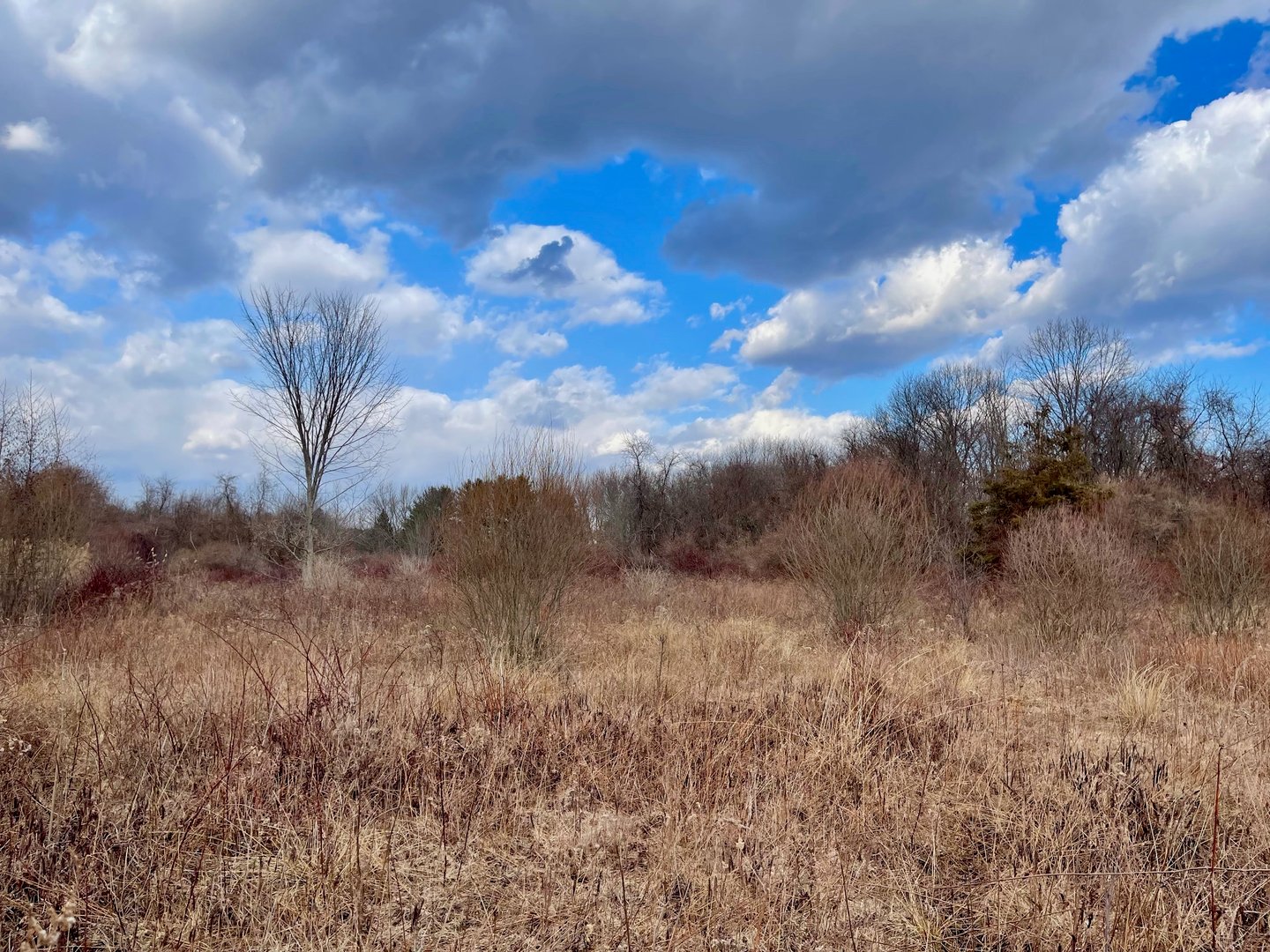 523 Voluntown Road Photo 3