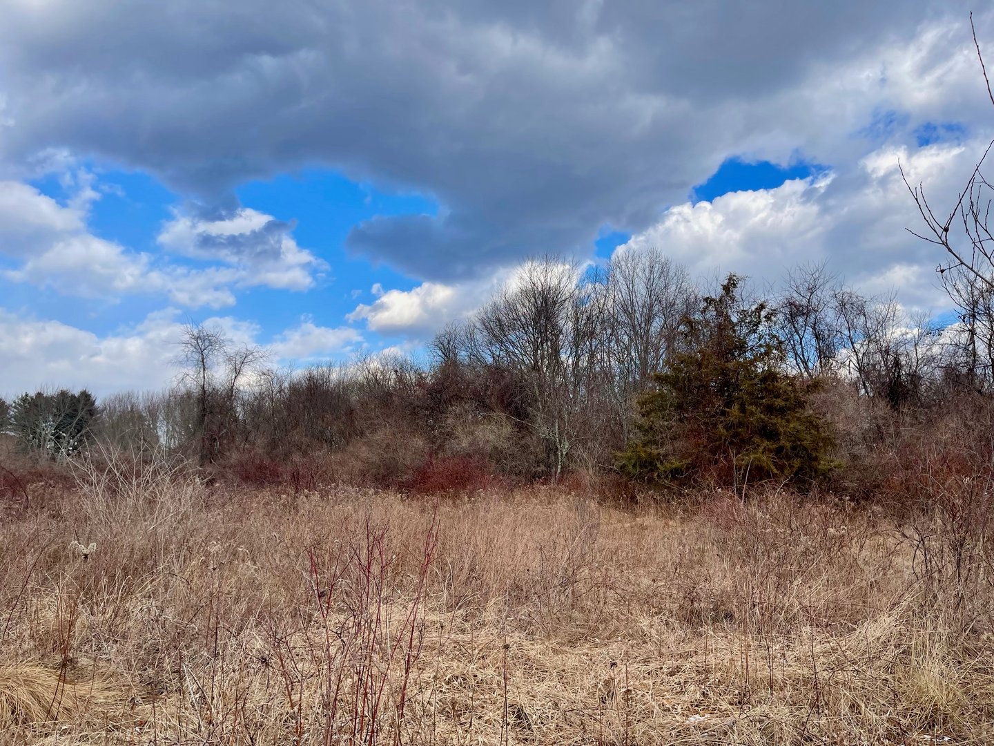 523 Voluntown Road Photo 4