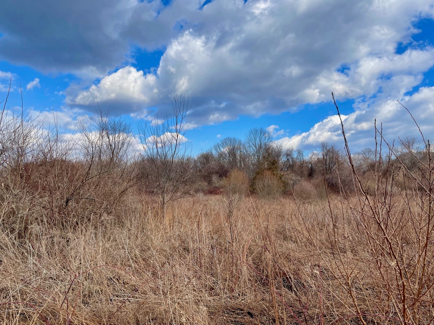 523 Voluntown Road Photo 2