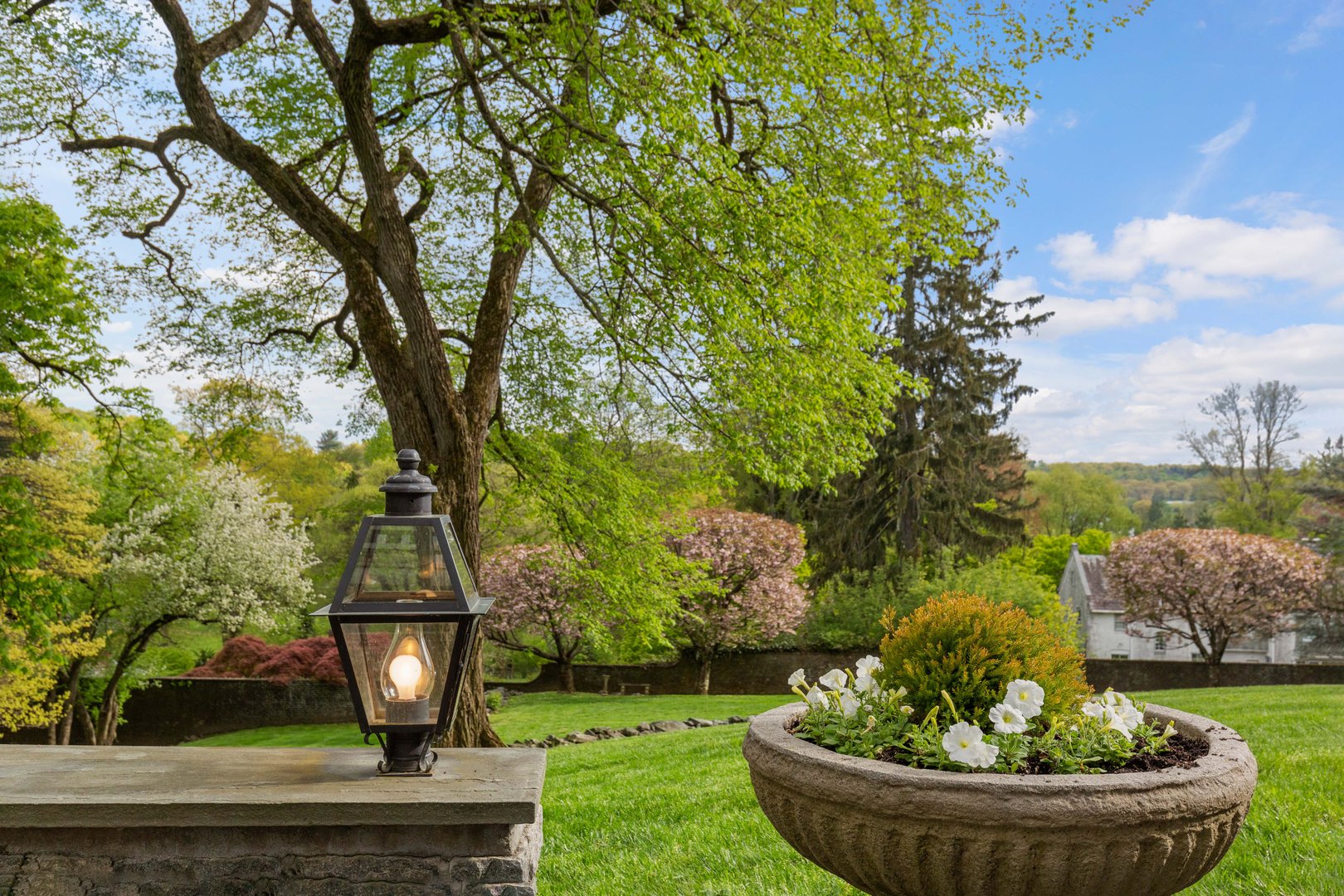 5 Belmont Drive Photo 30