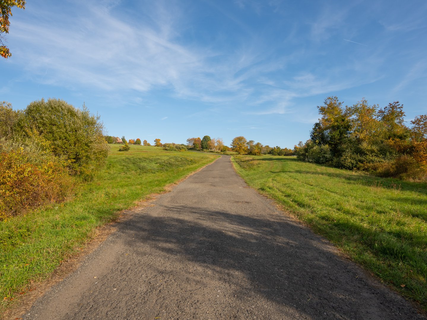 Lot 7 & Lot 8 Willow Brook Drive Photo 7