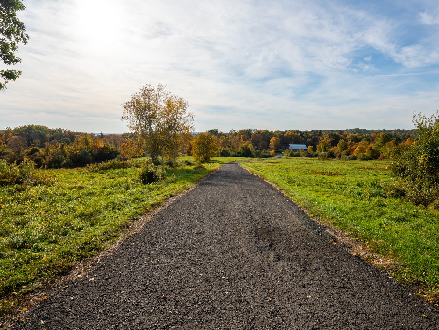 Lot 7 & Lot 8 Willow Brook Drive Photo 9