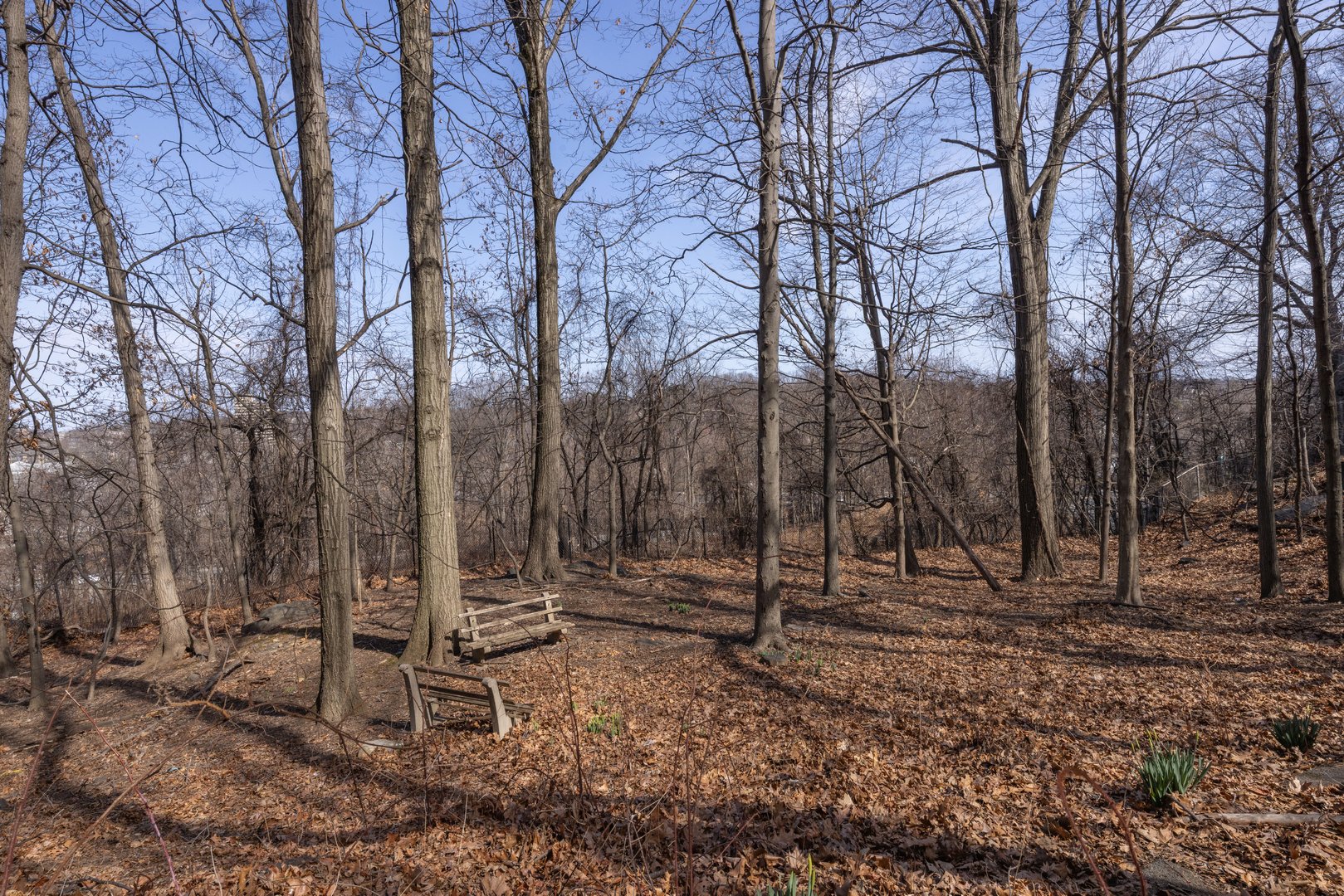 615 Palmer Rd  #602 Photo 23