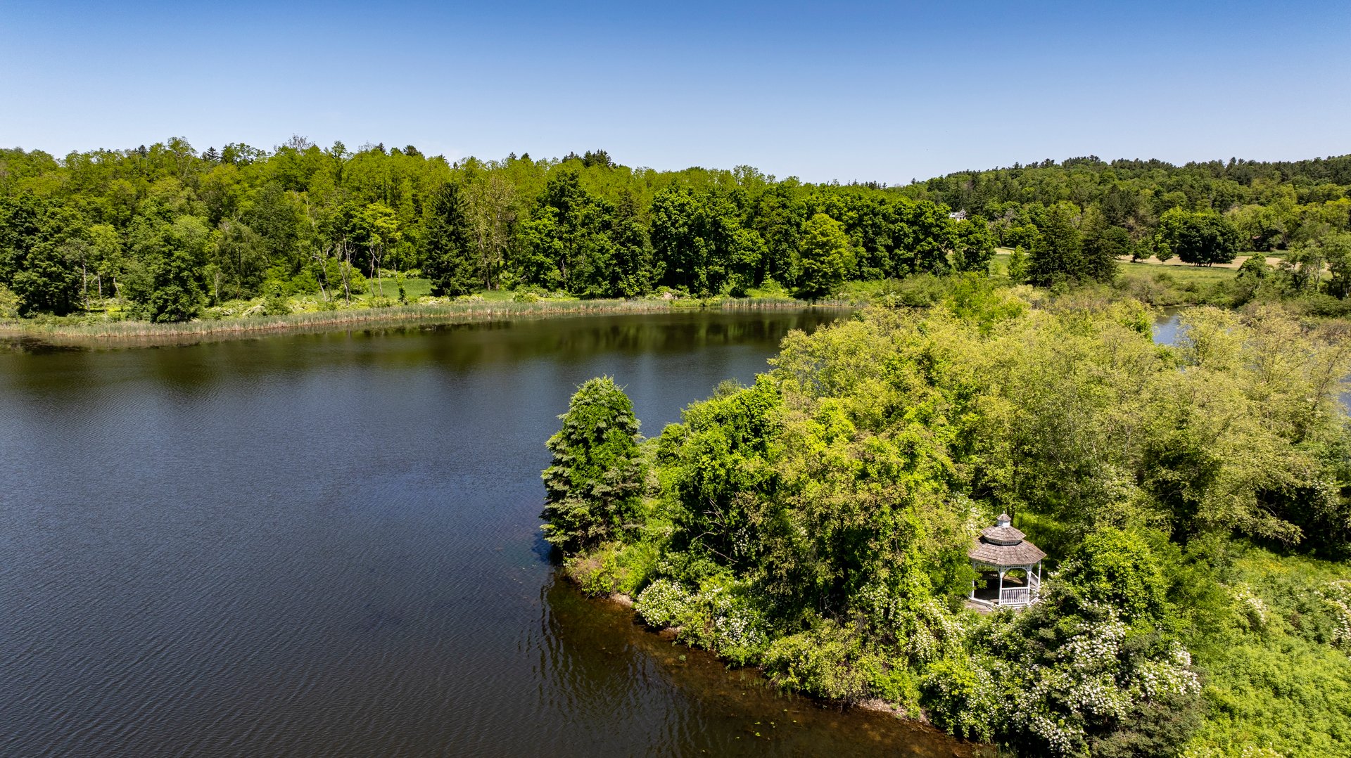 45 Hitchcock Lane Photo 15