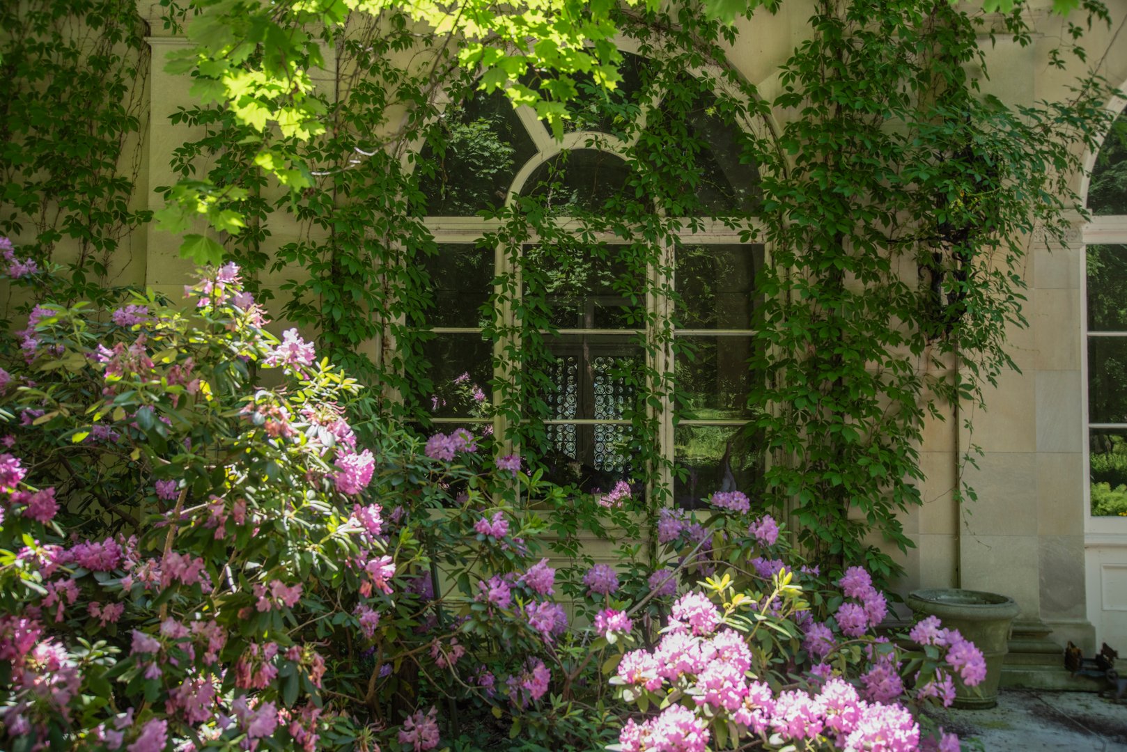 45 Hitchcock Lane Photo 30