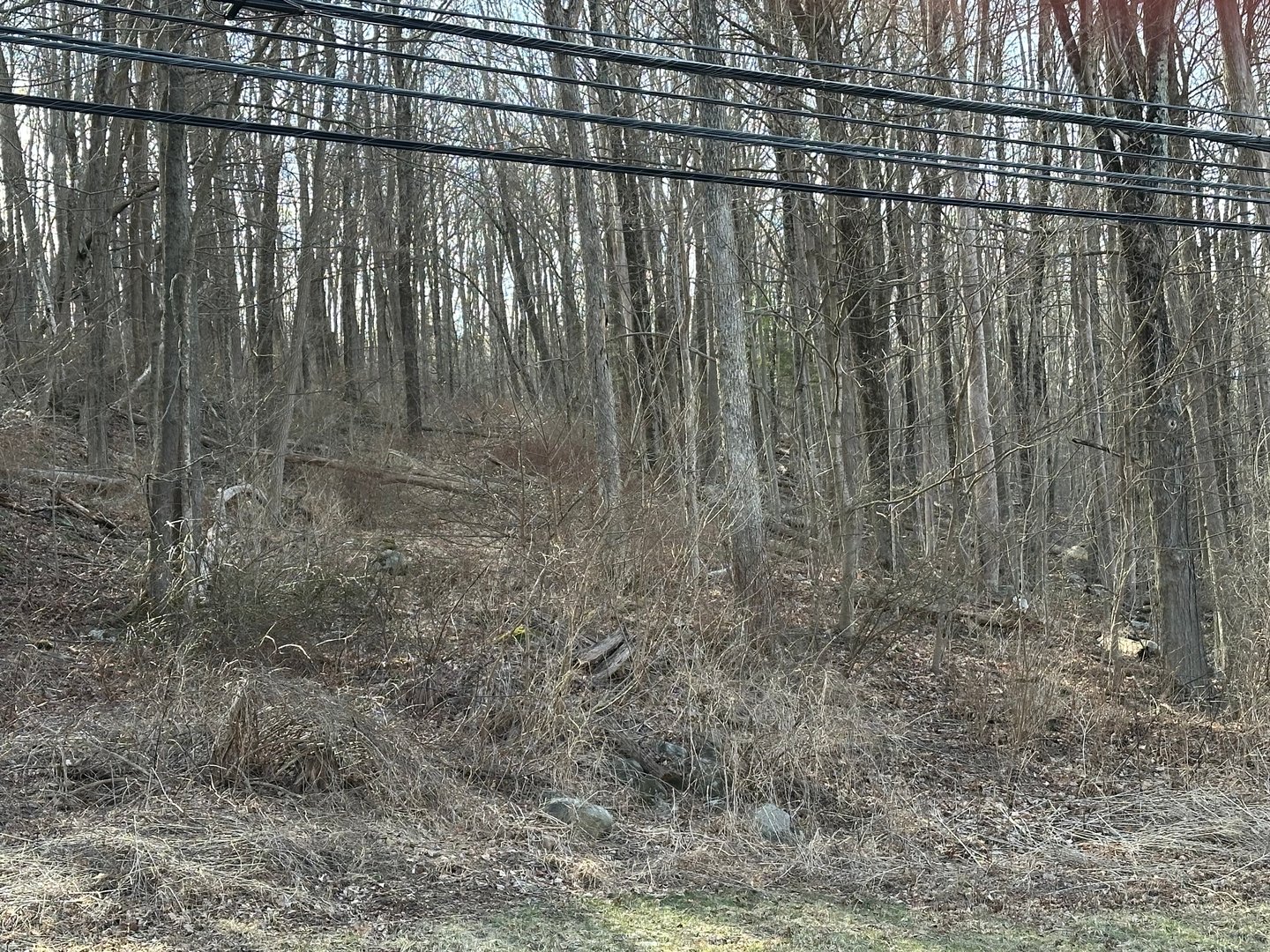 00 Torrington Road Photo 6