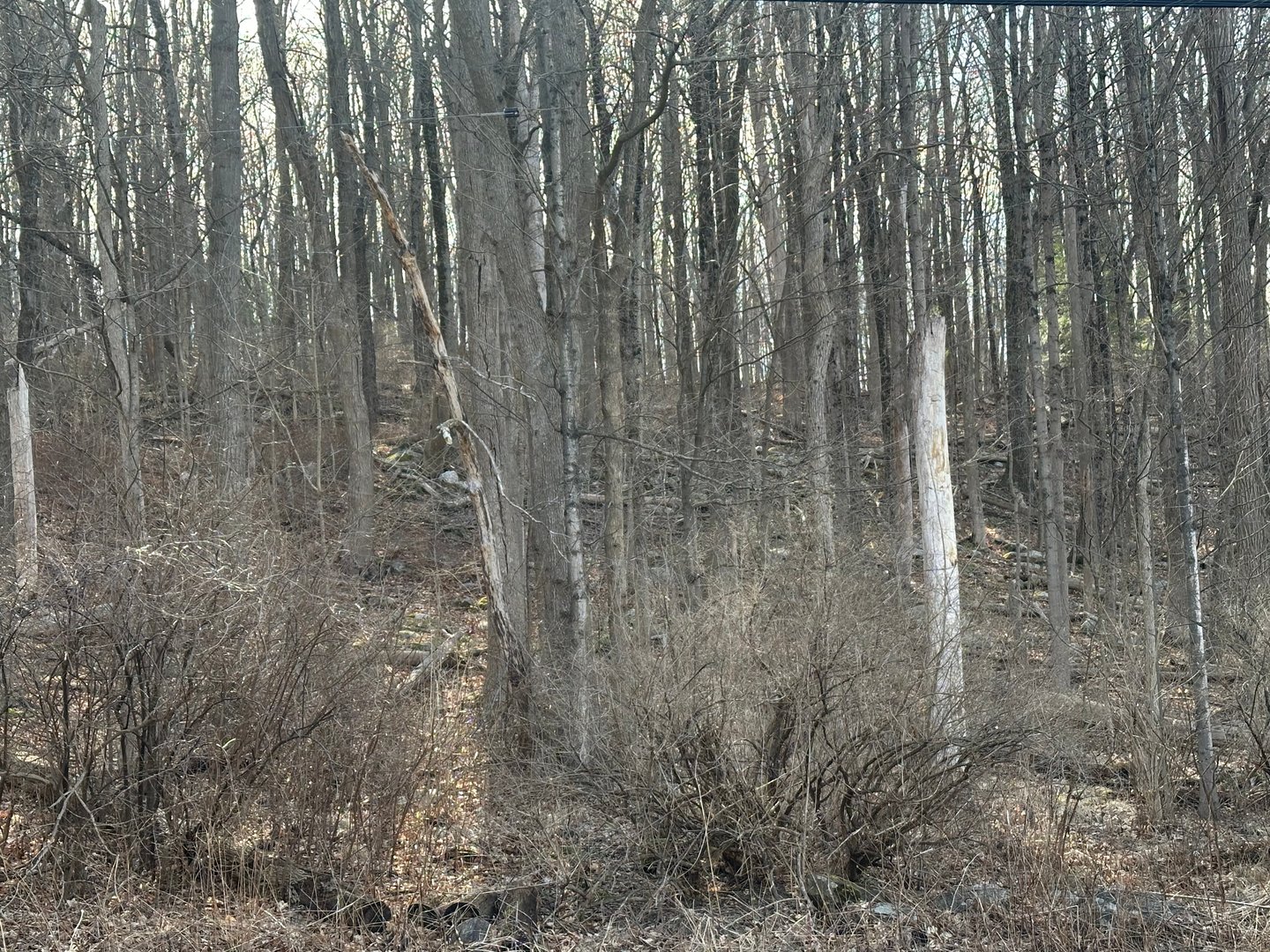 00 Torrington Road Photo 3