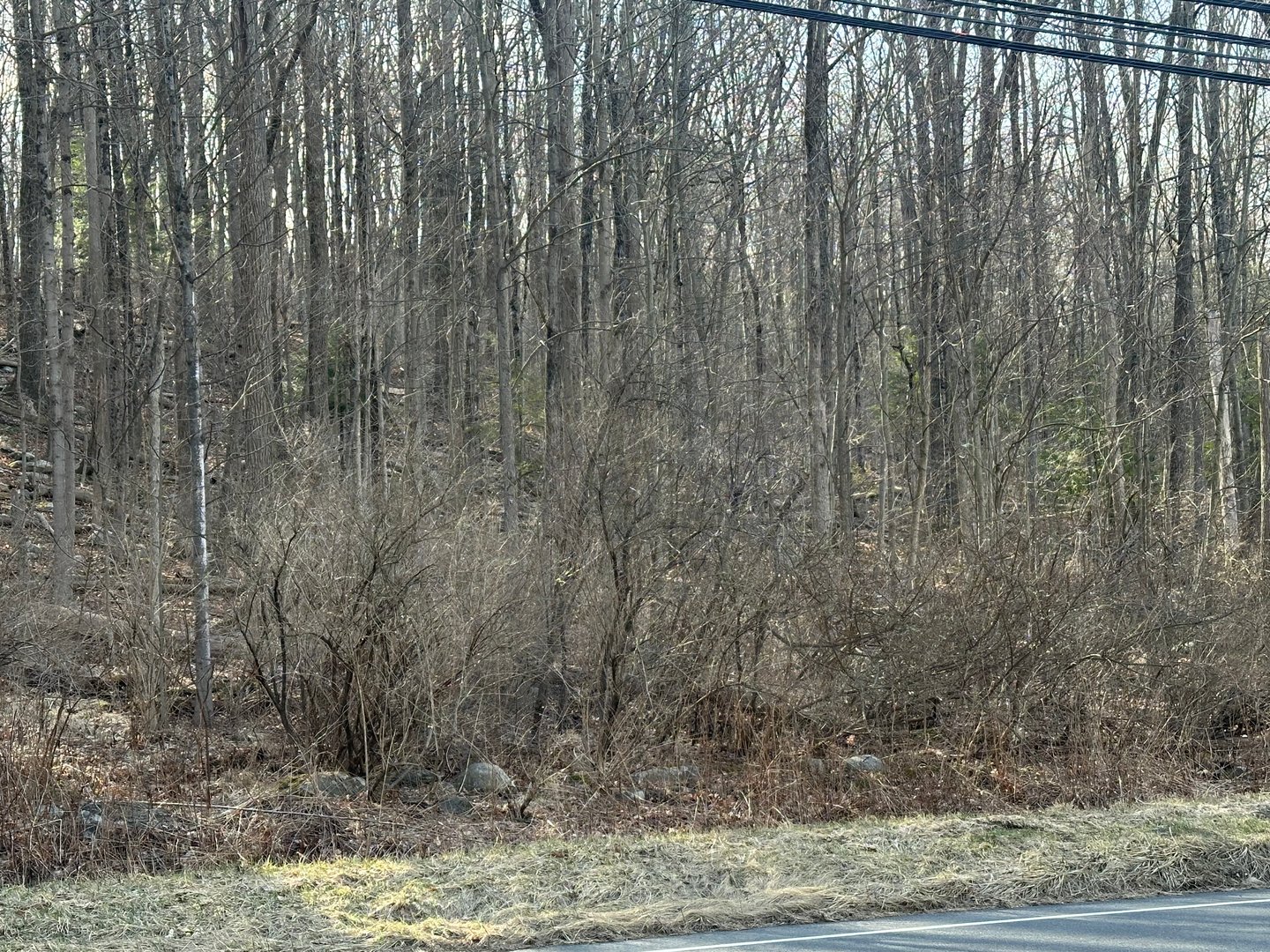 00 Torrington Road Photo 2