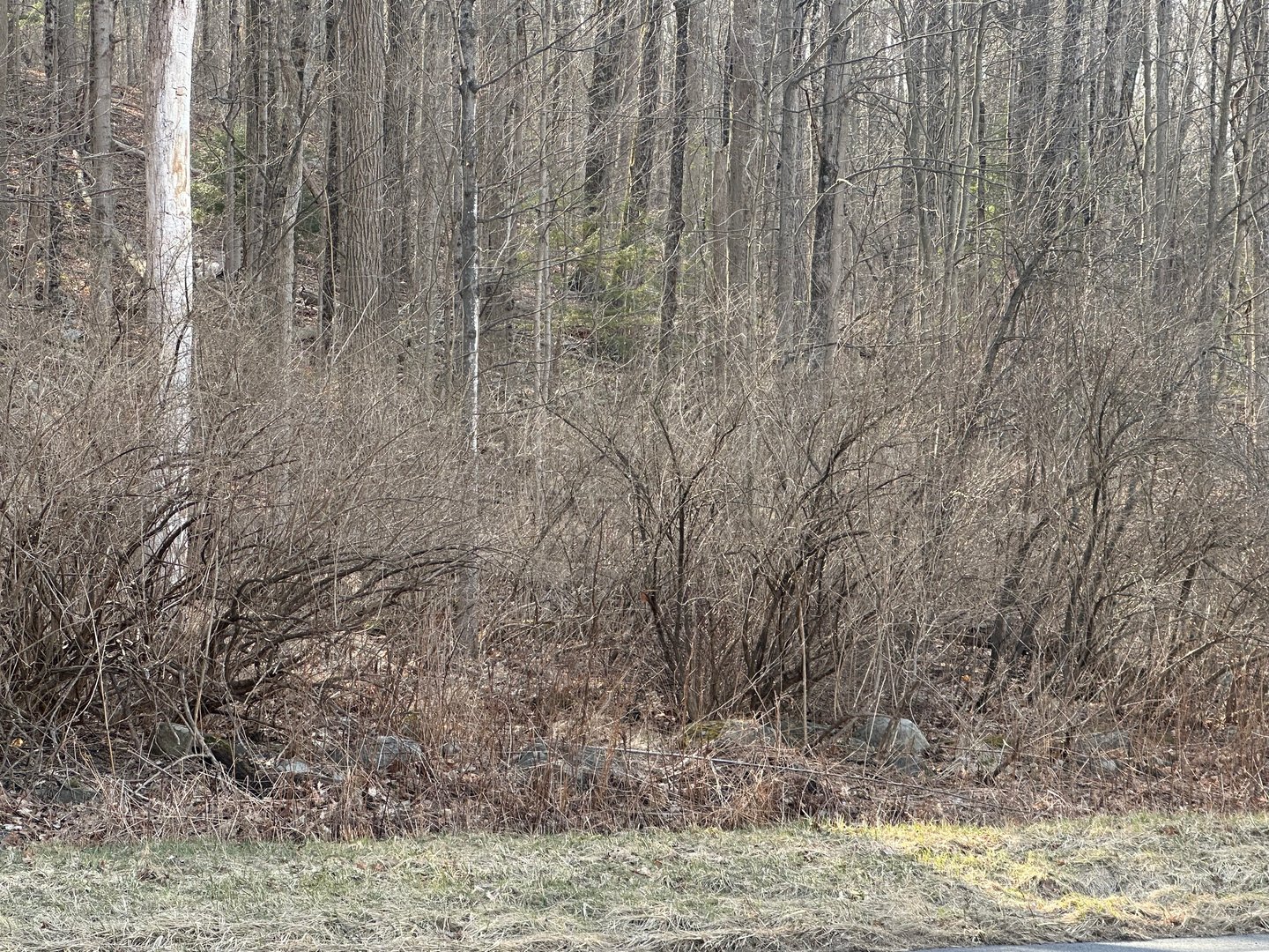 00 Torrington Road Photo 1