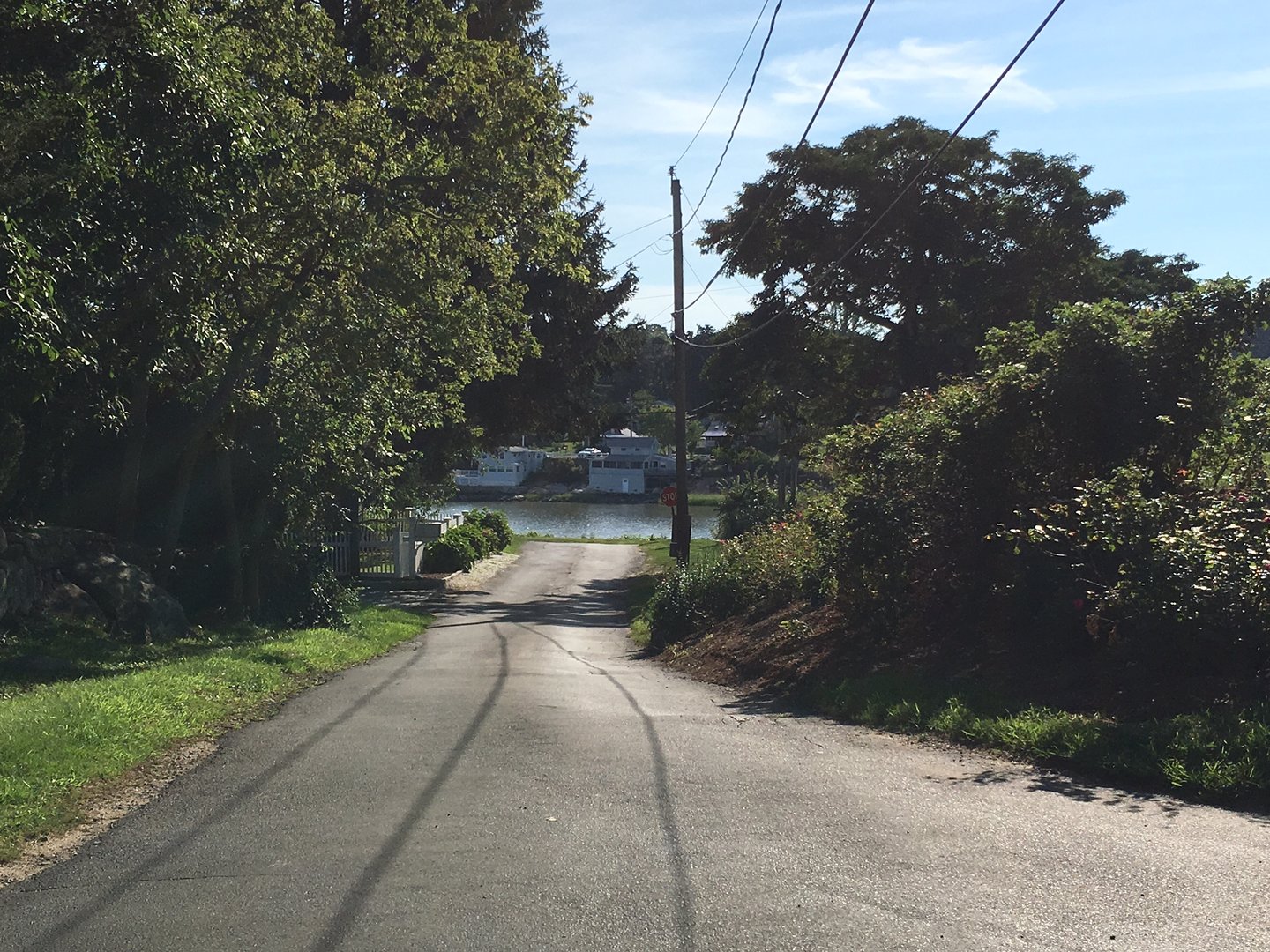 87 Decatur Avenue Photo 12