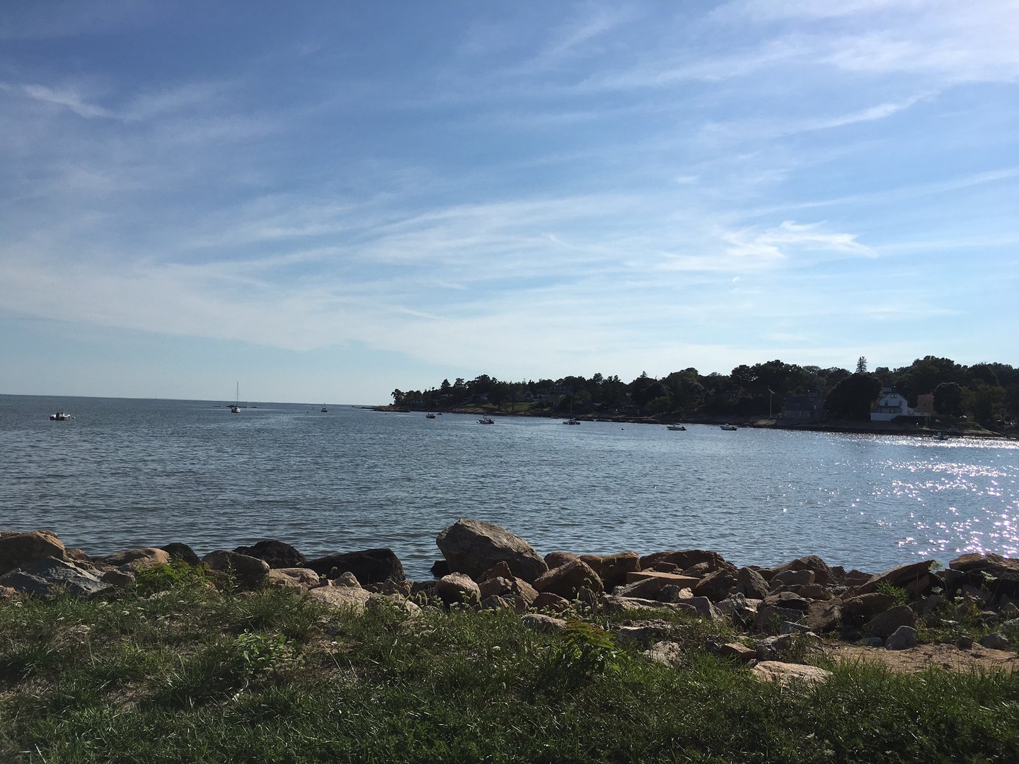 87 Decatur Avenue Photo 14