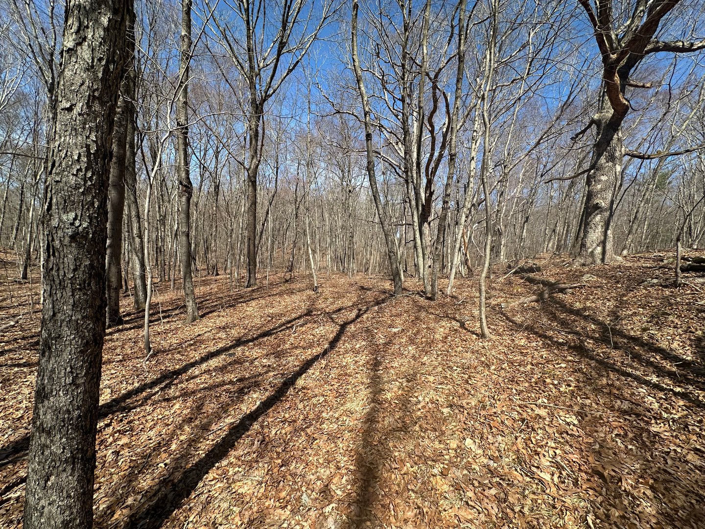 0 Cowles Road Photo 1