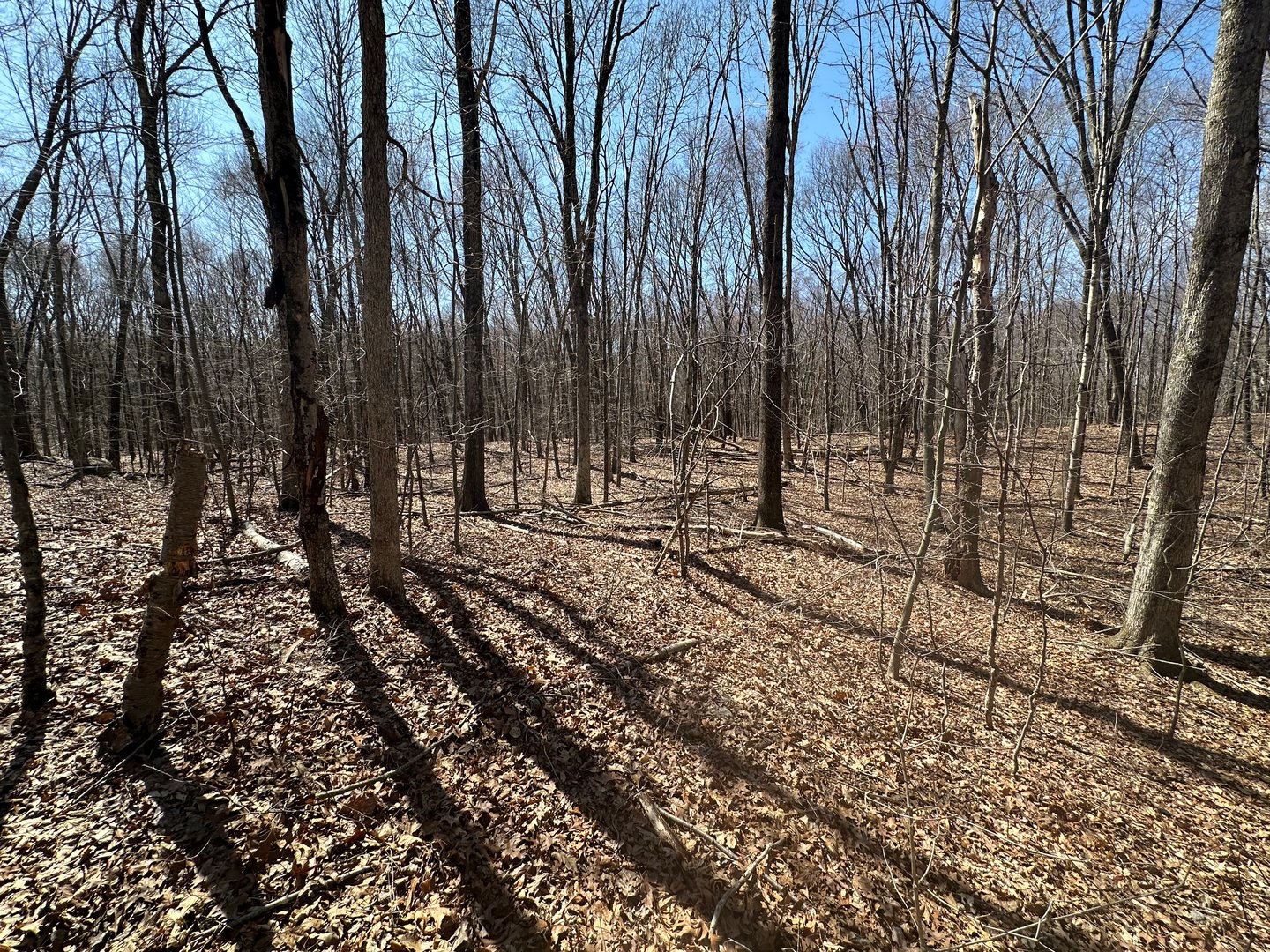 0 Cowles Road Photo 5