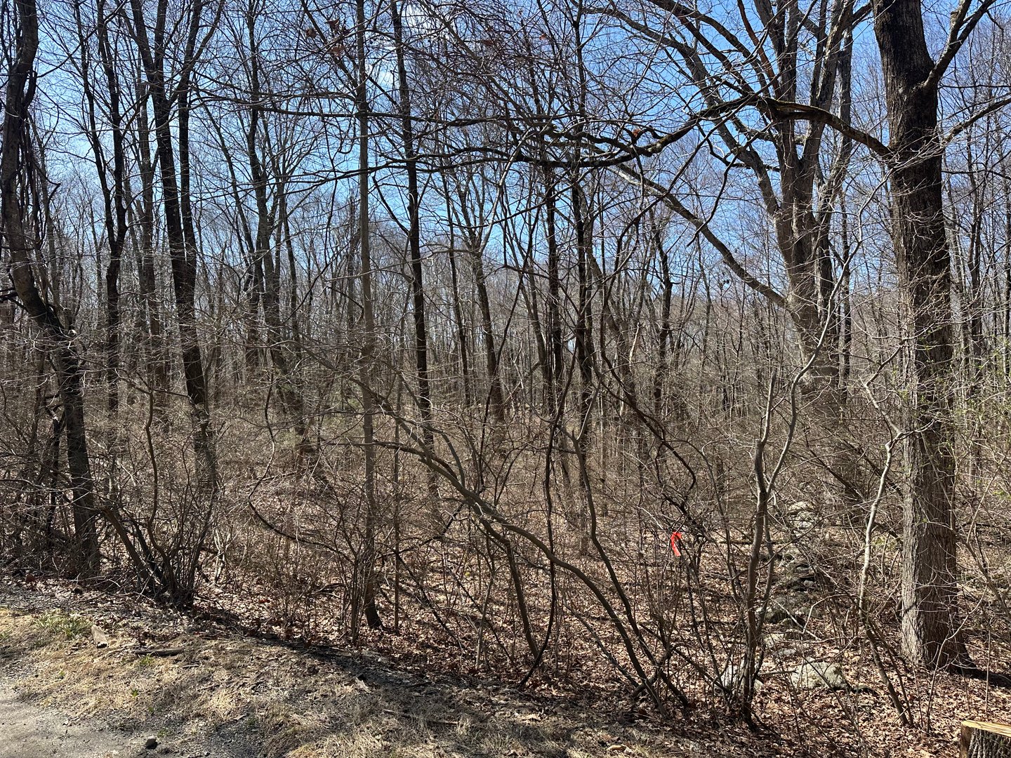 0 Cowles Road Photo 11