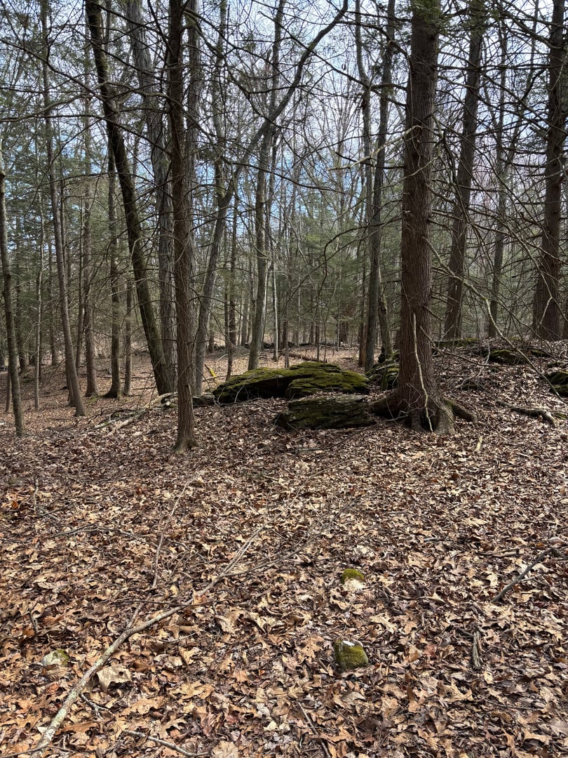 Lot 4 Chalybes Road West Photo 4